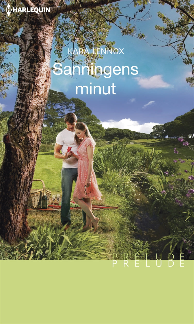 Sanningens minut – E-bok