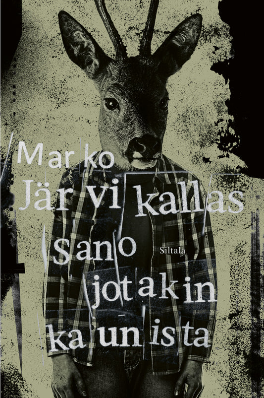 Sano jotakin kaunista – E-bok