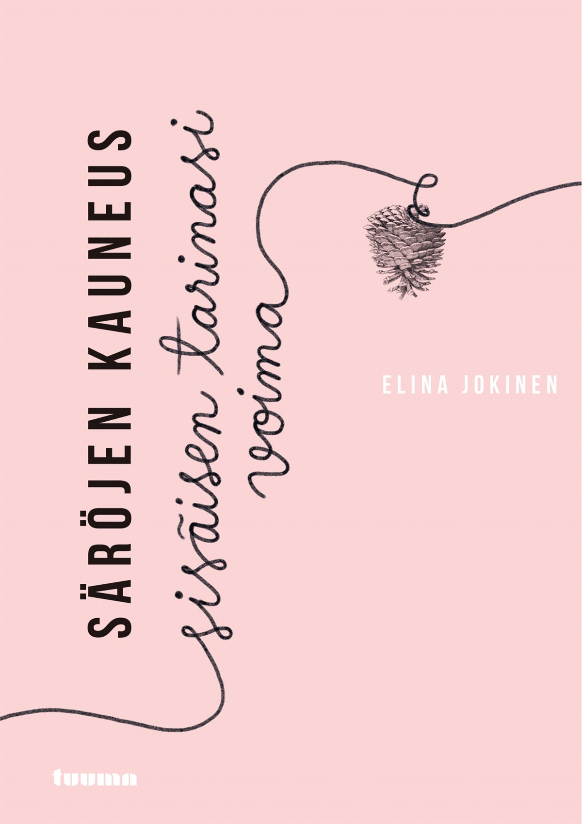 Säröjen kauneus – E-bok