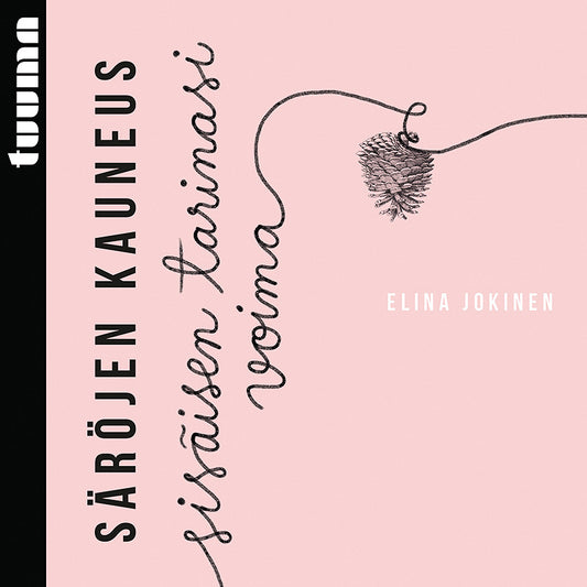 Säröjen kauneus – Ljudbok