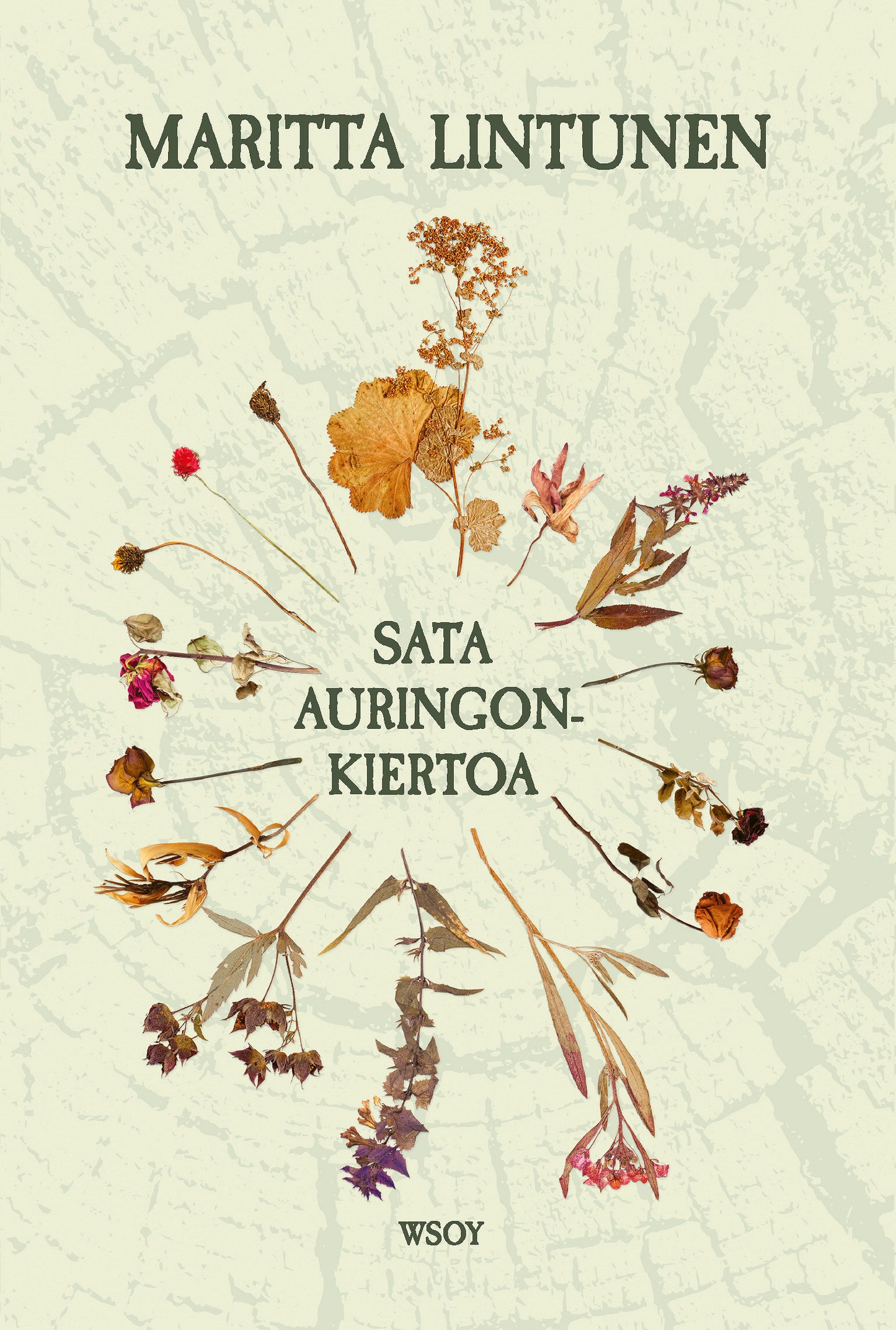 Sata auringonkiertoa – E-bok