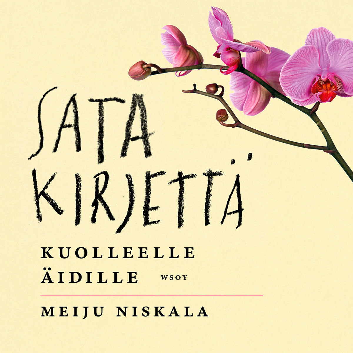 Sata kirjettä kuolleelle äidille – Ljudbok
