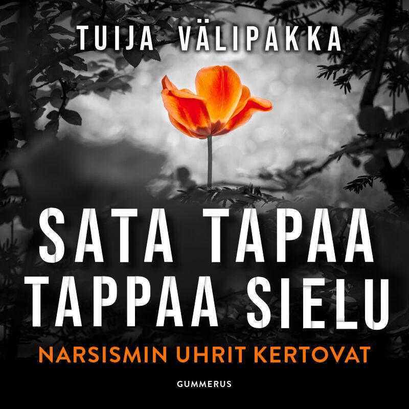 Sata tapaa tappaa sielu – Ljudbok