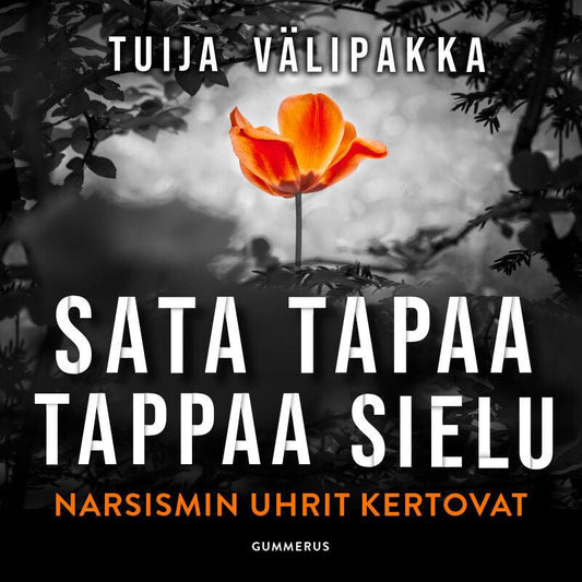 Sata tapaa tappaa sielu – Ljudbok