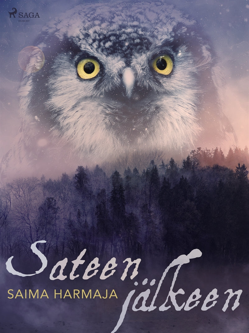 Sateen jälkeen – E-bok