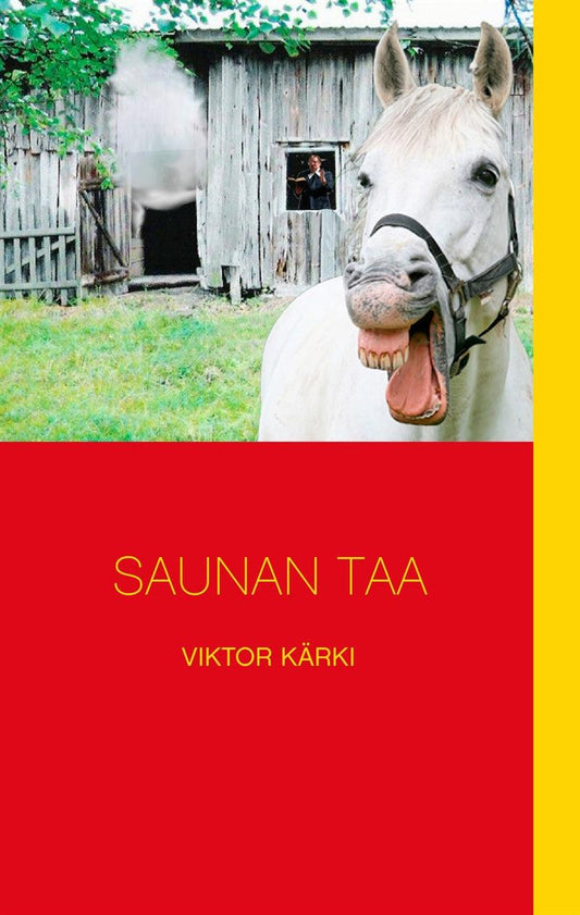 Saunan taa – E-bok