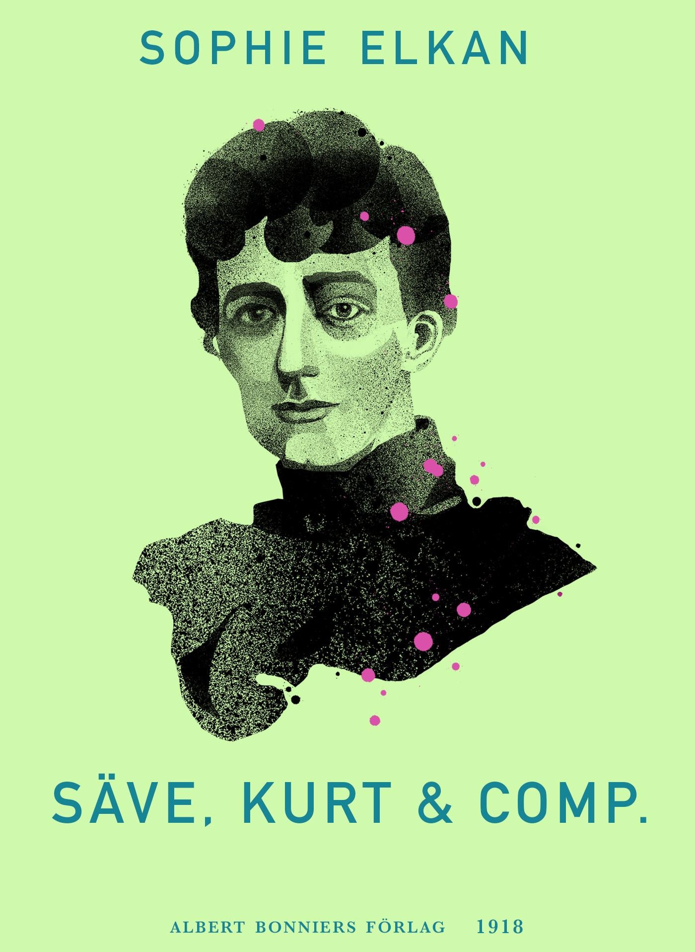 Säve, Kurt & comp. – E-bok