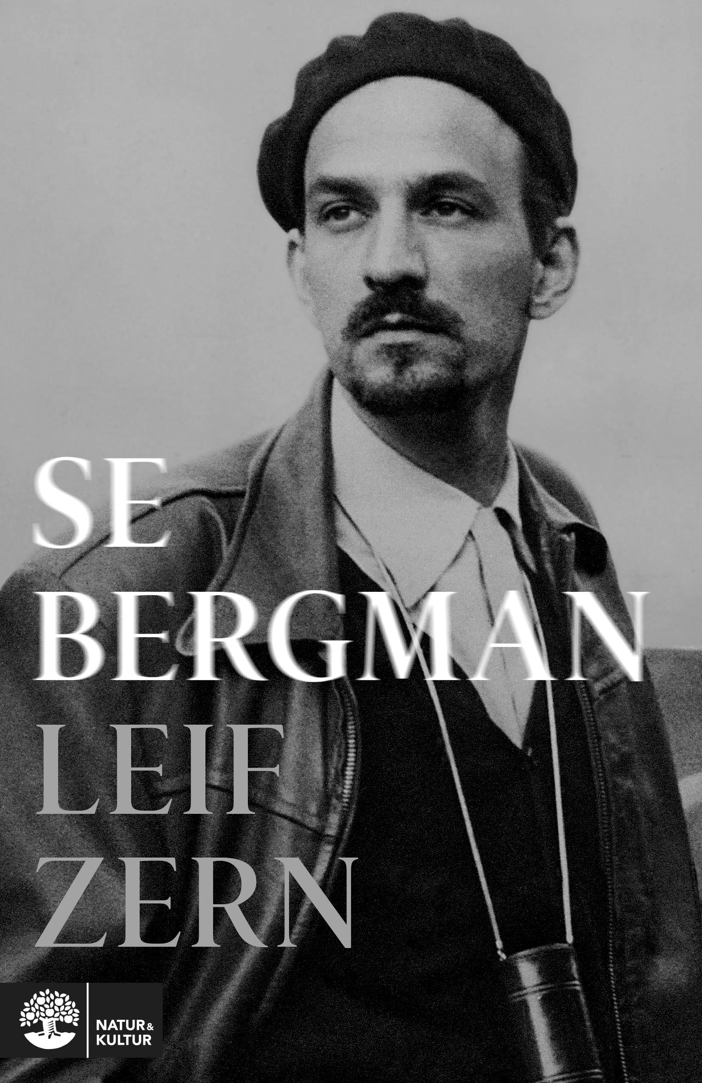 Se Bergman – E-bok