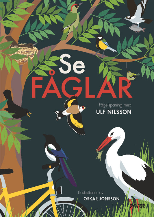 Se fåglar – E-bok