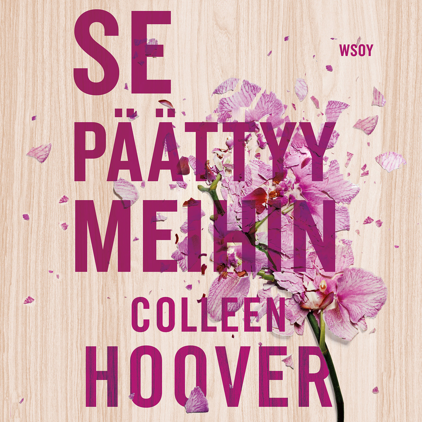 Se päättyy meihin – Ljudbok