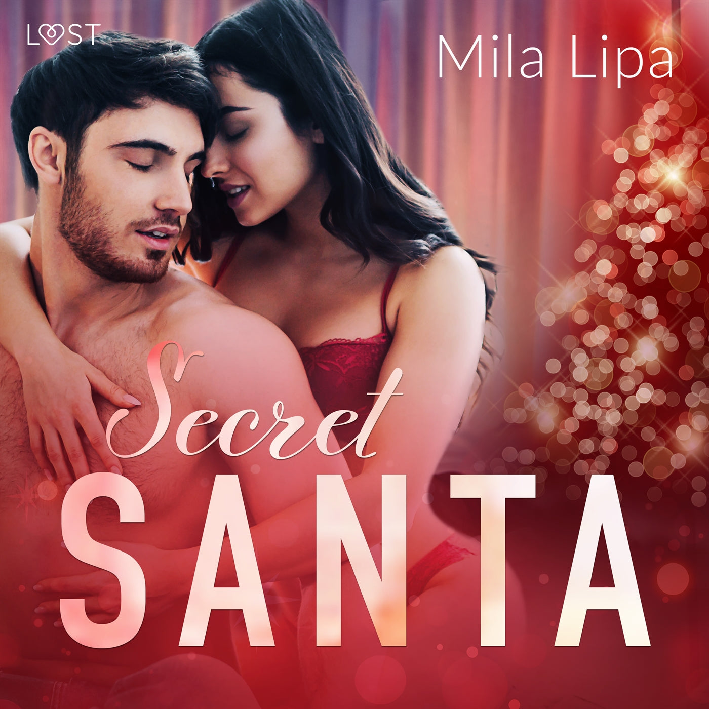 Secret Santa – erotisk novell – Ljudbok