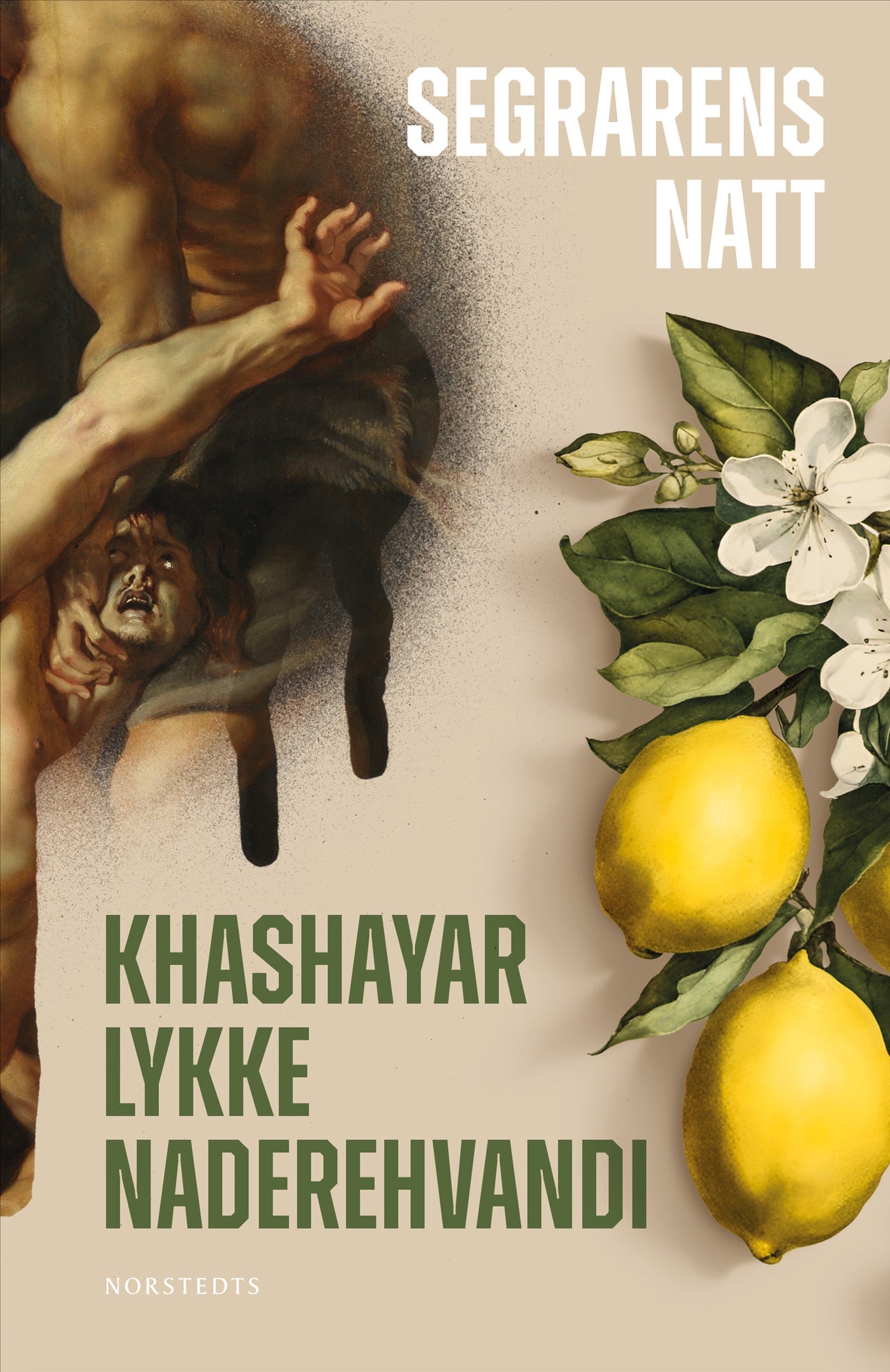 Segrarens natt – E-bok