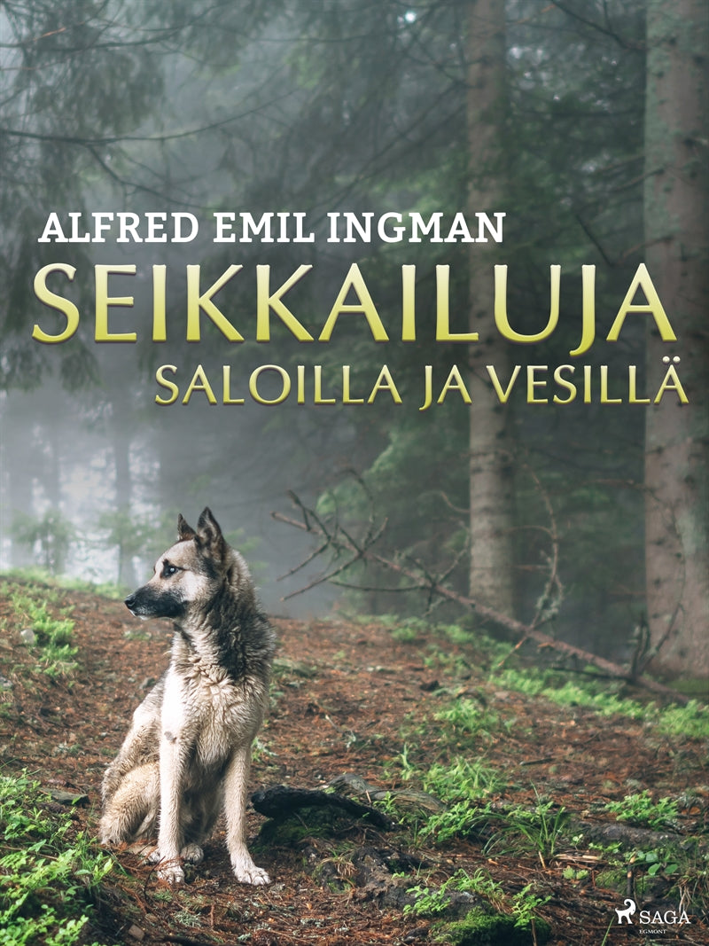 Seikkailuja saloilla ja vesillä – E-bok