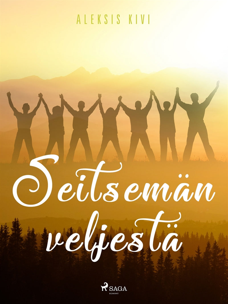 Seitsemän veljestä – E-bok