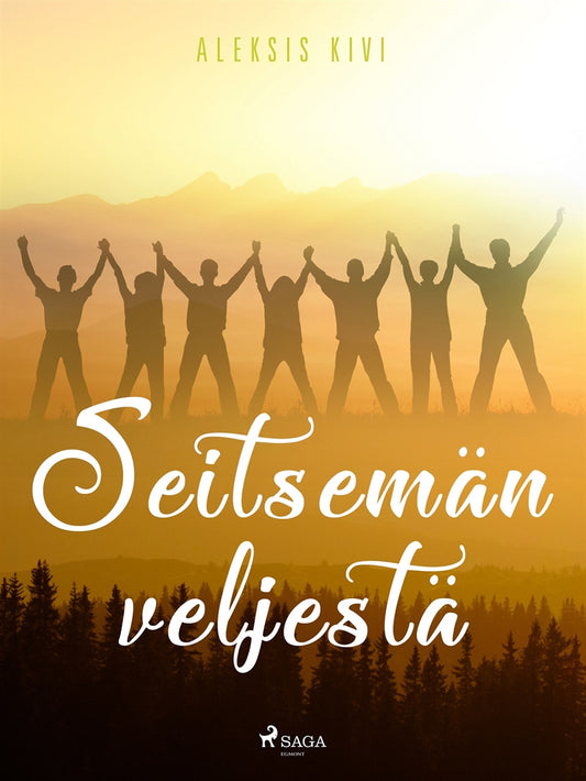 Seitsemän veljestä – E-bok