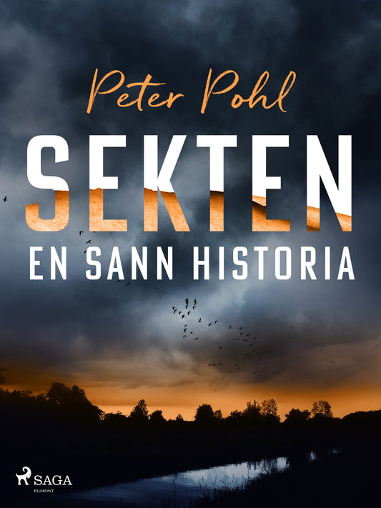 Sekten: en sann historia – E-bok