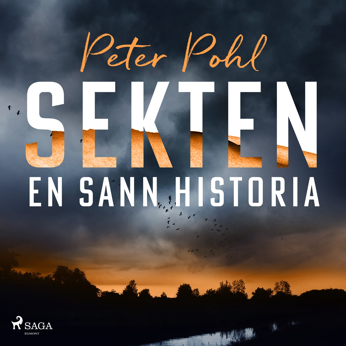 Sekten: en sann historia – Ljudbok