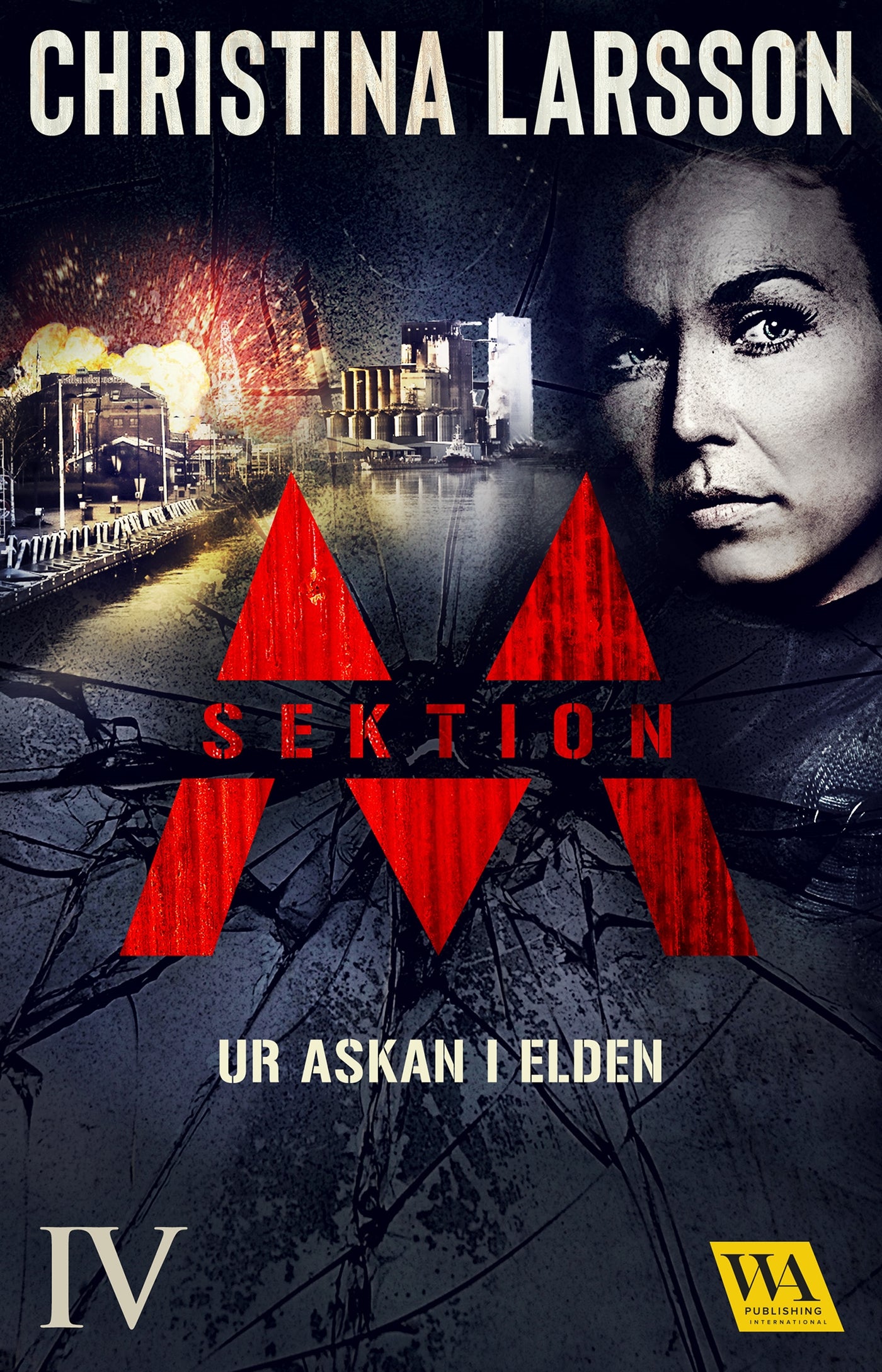 Sektion M: Ur askan i elden – E-bok