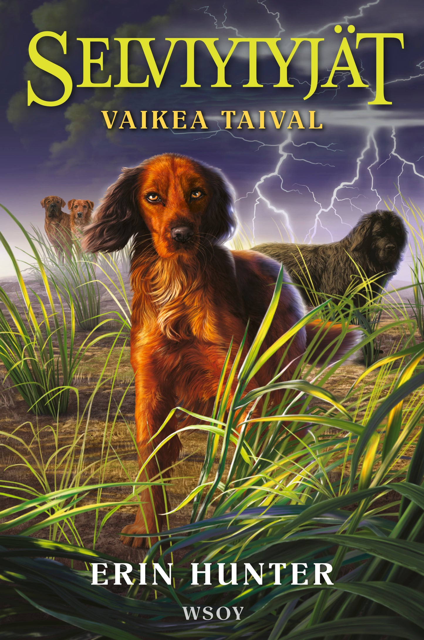 Selviytyjät: Vaikea taival  – E-bok