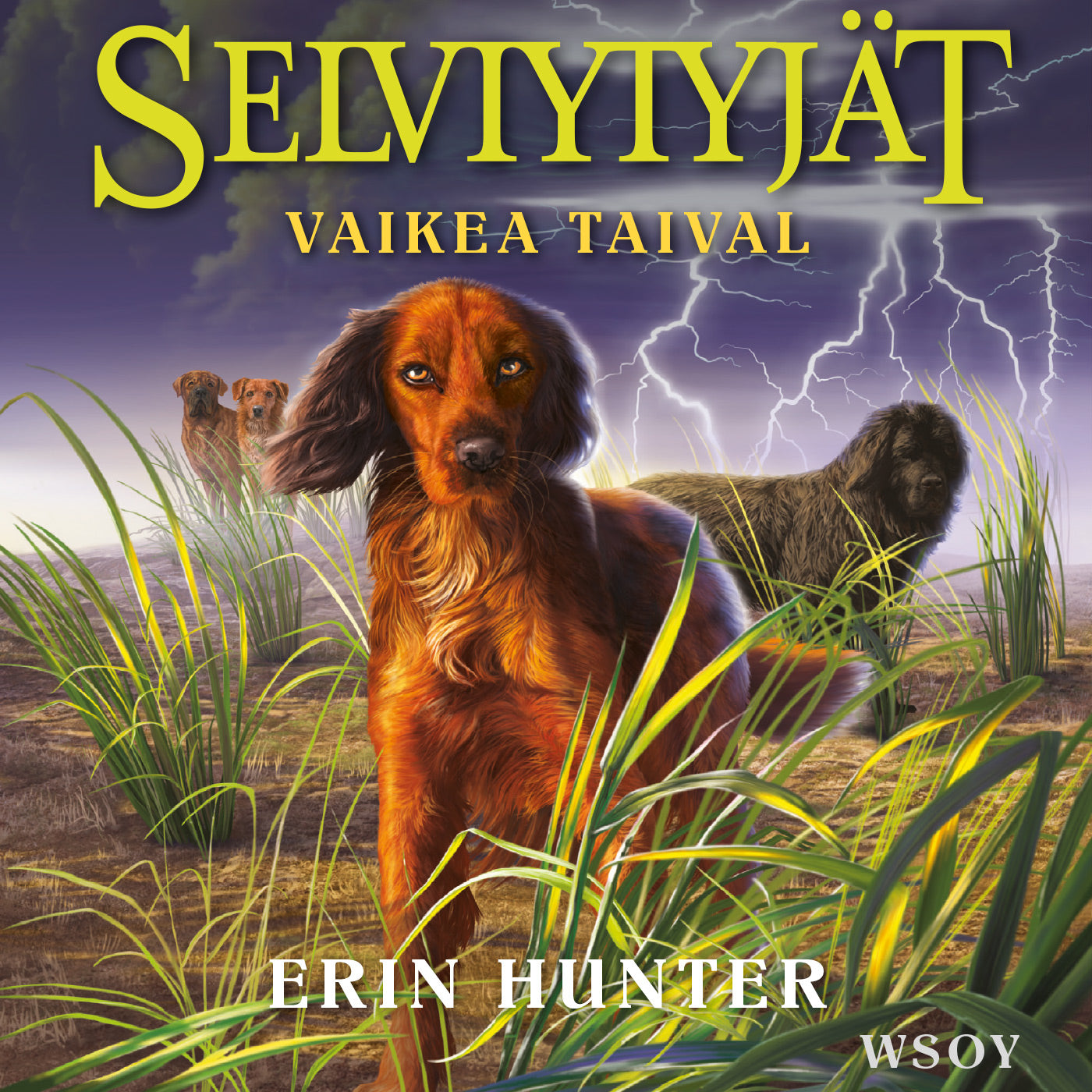 Selviytyjät: Vaikea taival  – Ljudbok