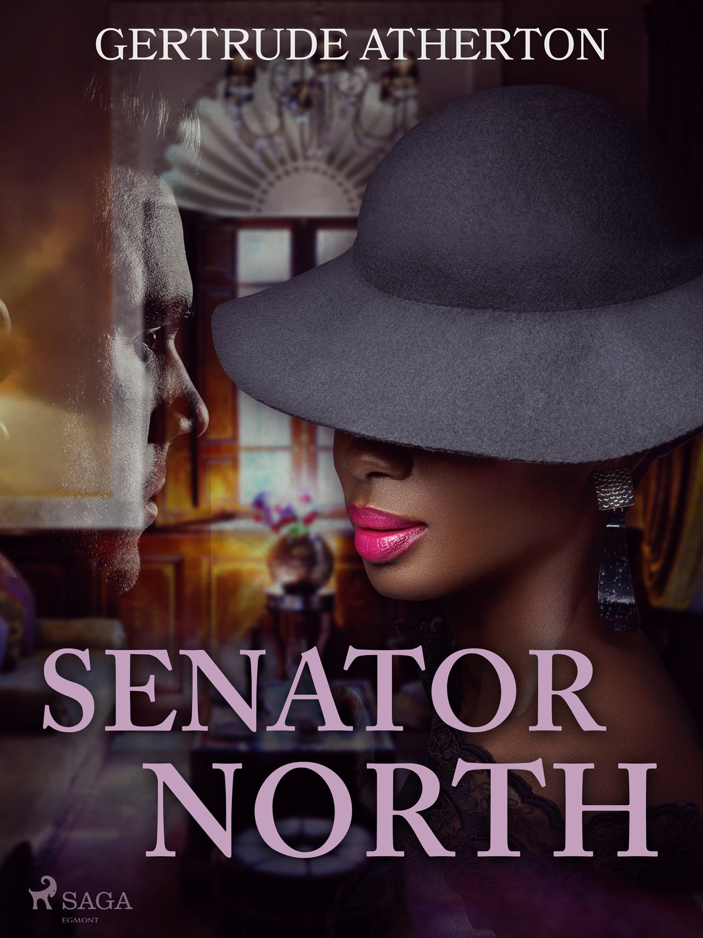 Senator North – E-bok