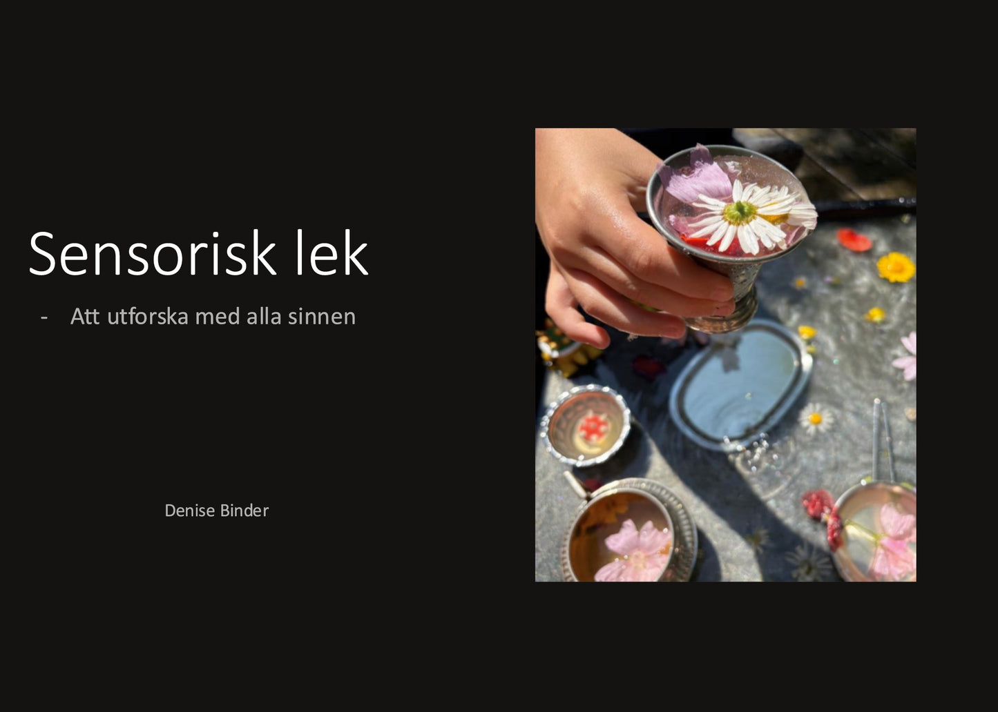 Sensorisk lek: Att utforska med alla sinnen – E-bok
