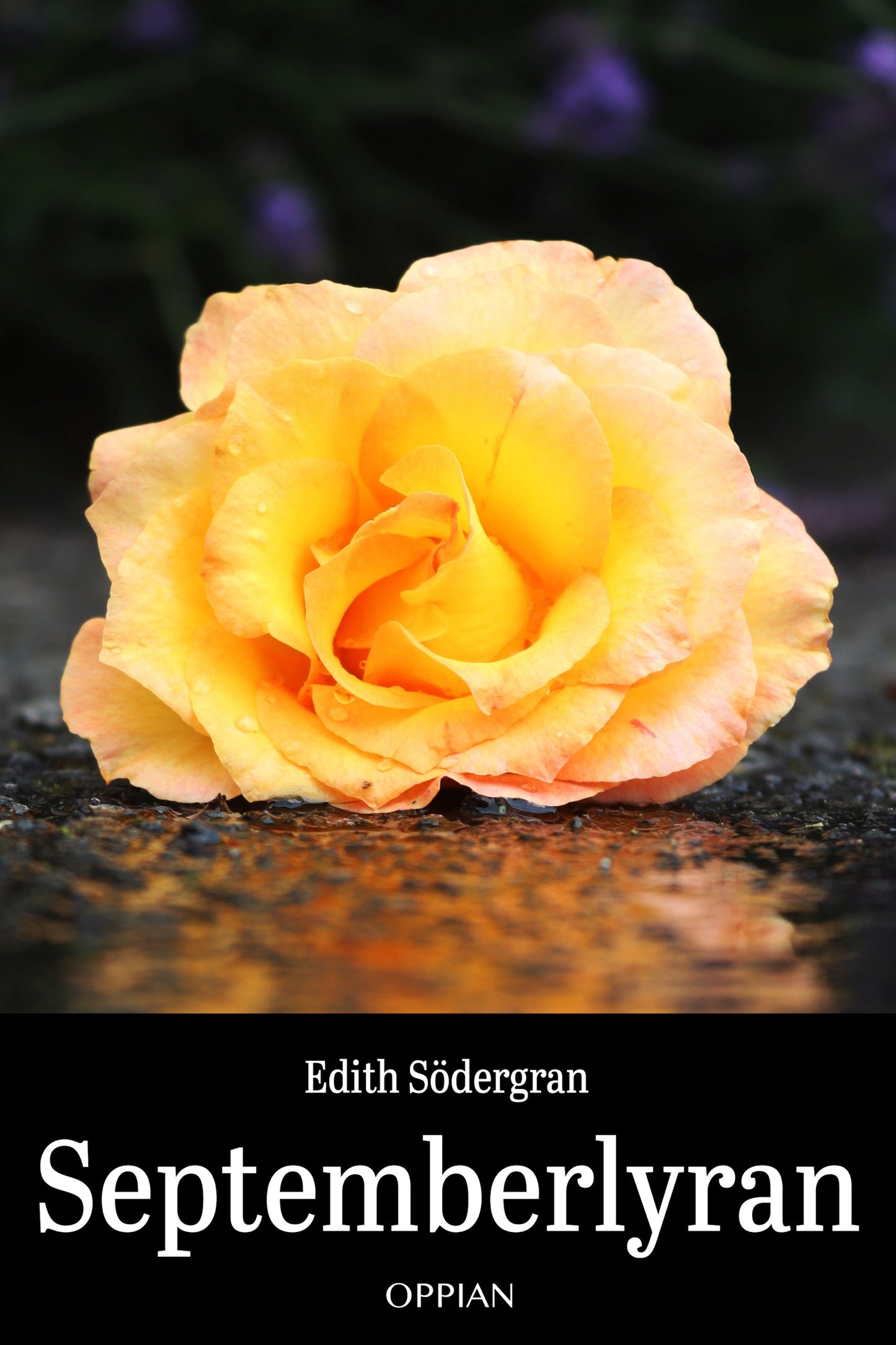 Septemberlyran – E-bok