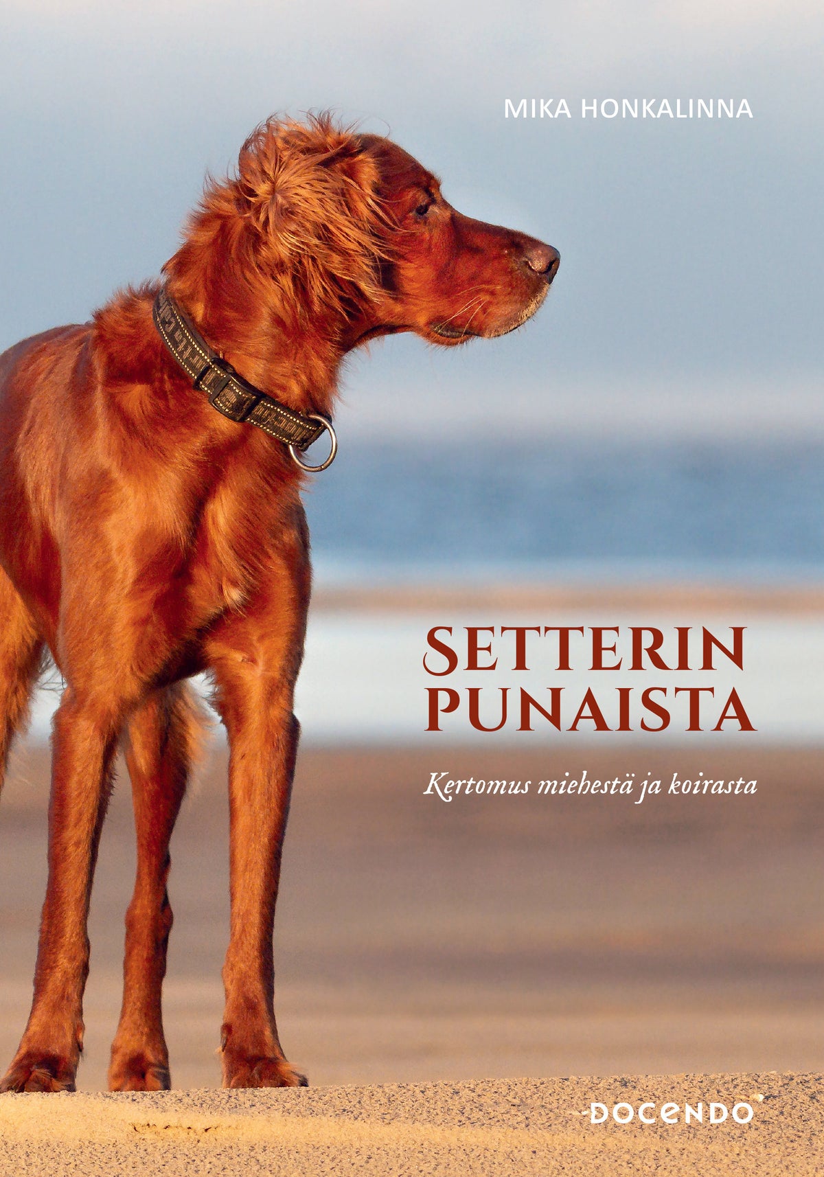 Setterinpunaista – E-bok