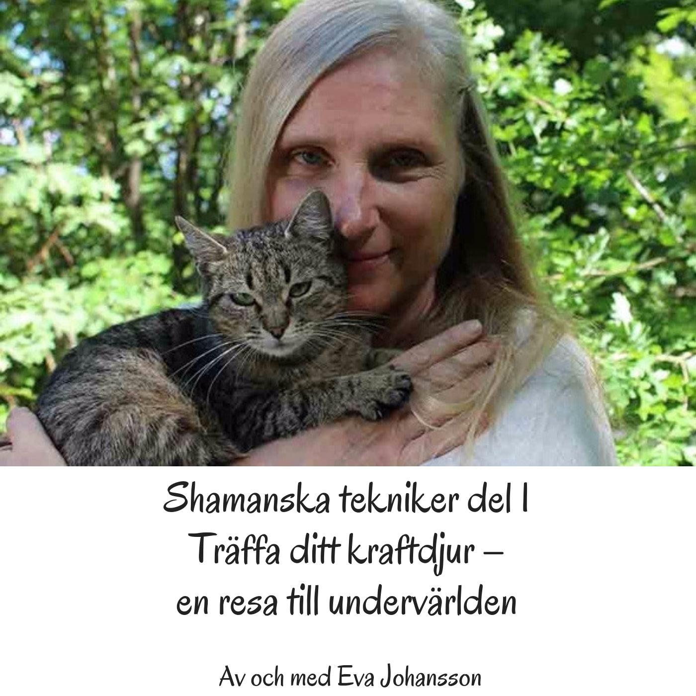 Shamanska tekniker del 1  – Ljudbok