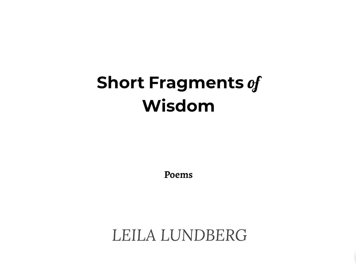 Short Fragments of Wisdom – E-bok