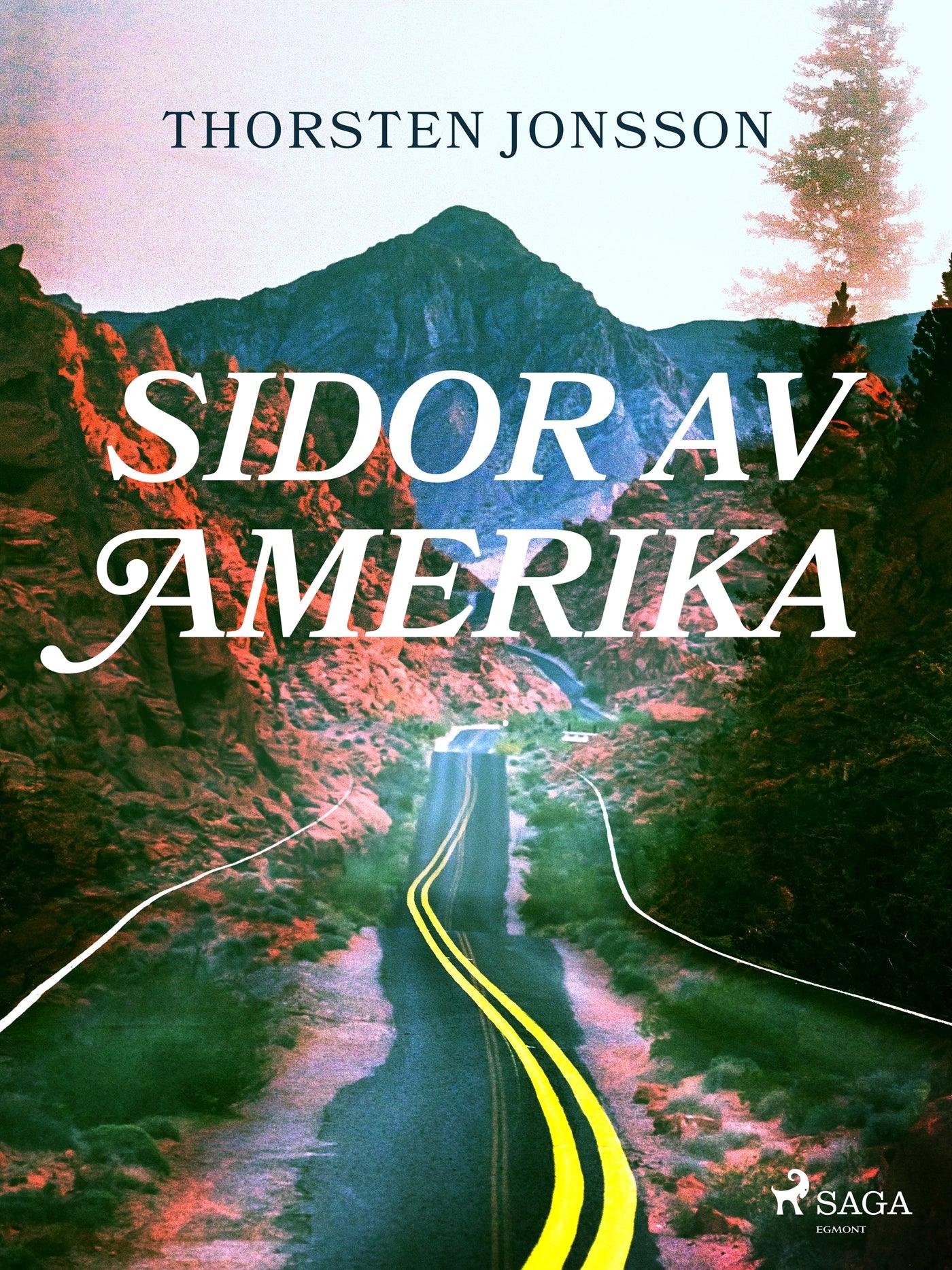 Sidor av Amerika – E-bok