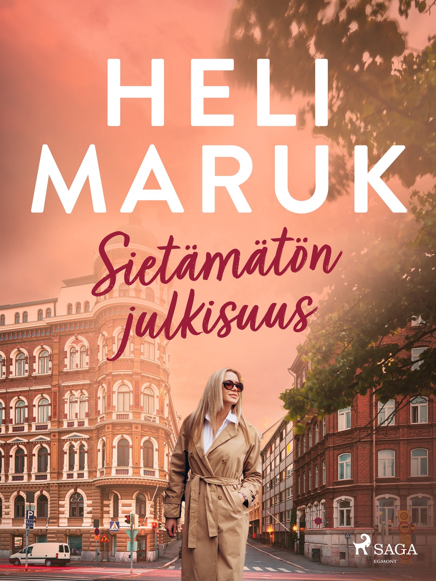 Sietämätön julkisuus – E-bok