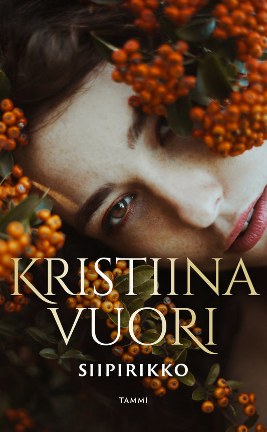 Siipirikko – E-bok