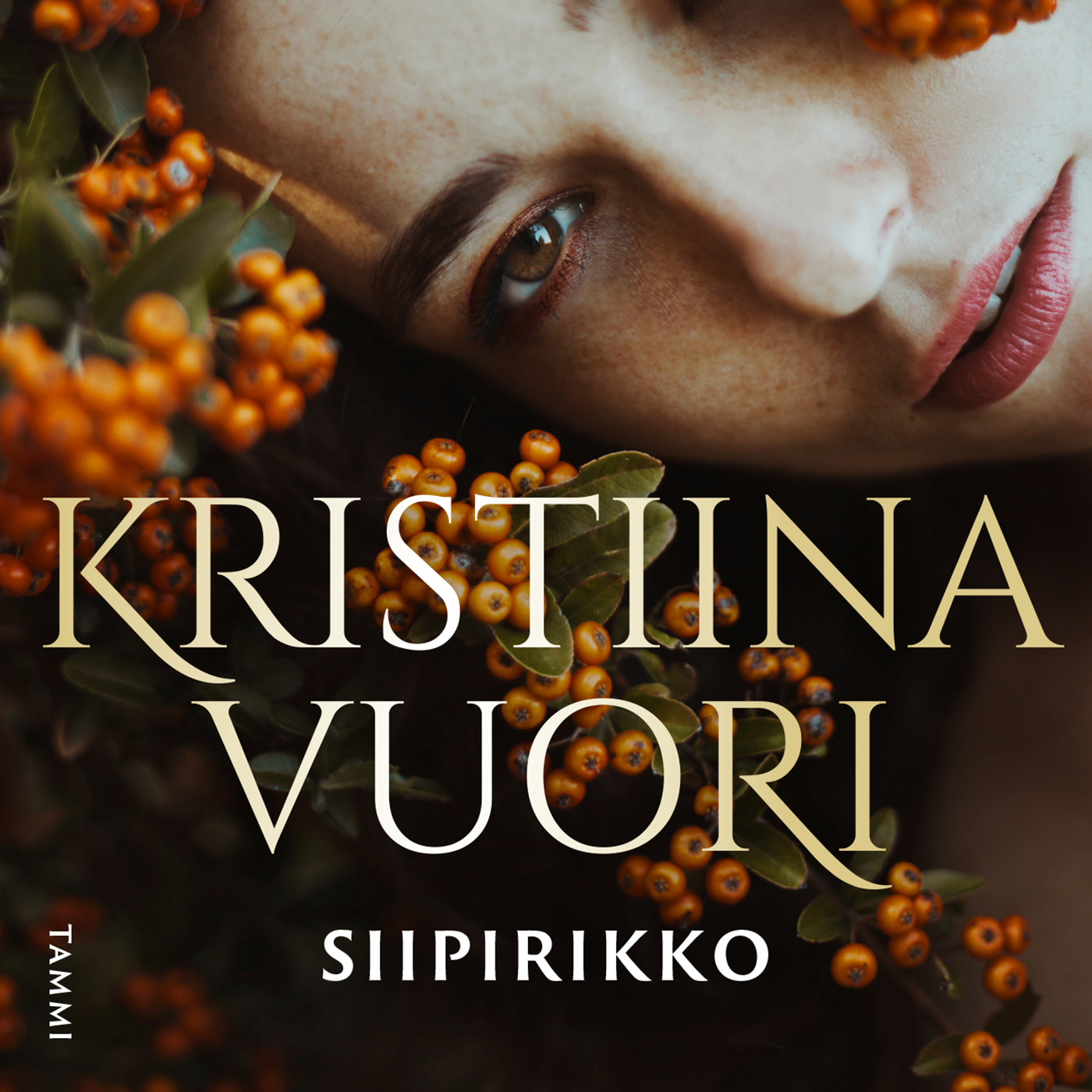 Siipirikko – Ljudbok