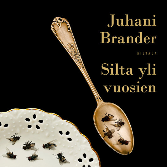 Silta yli vuosien – Ljudbok