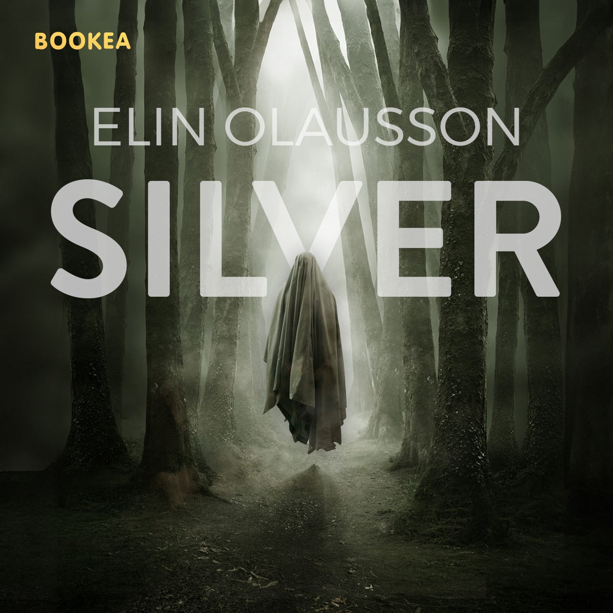 Silver – E-bok