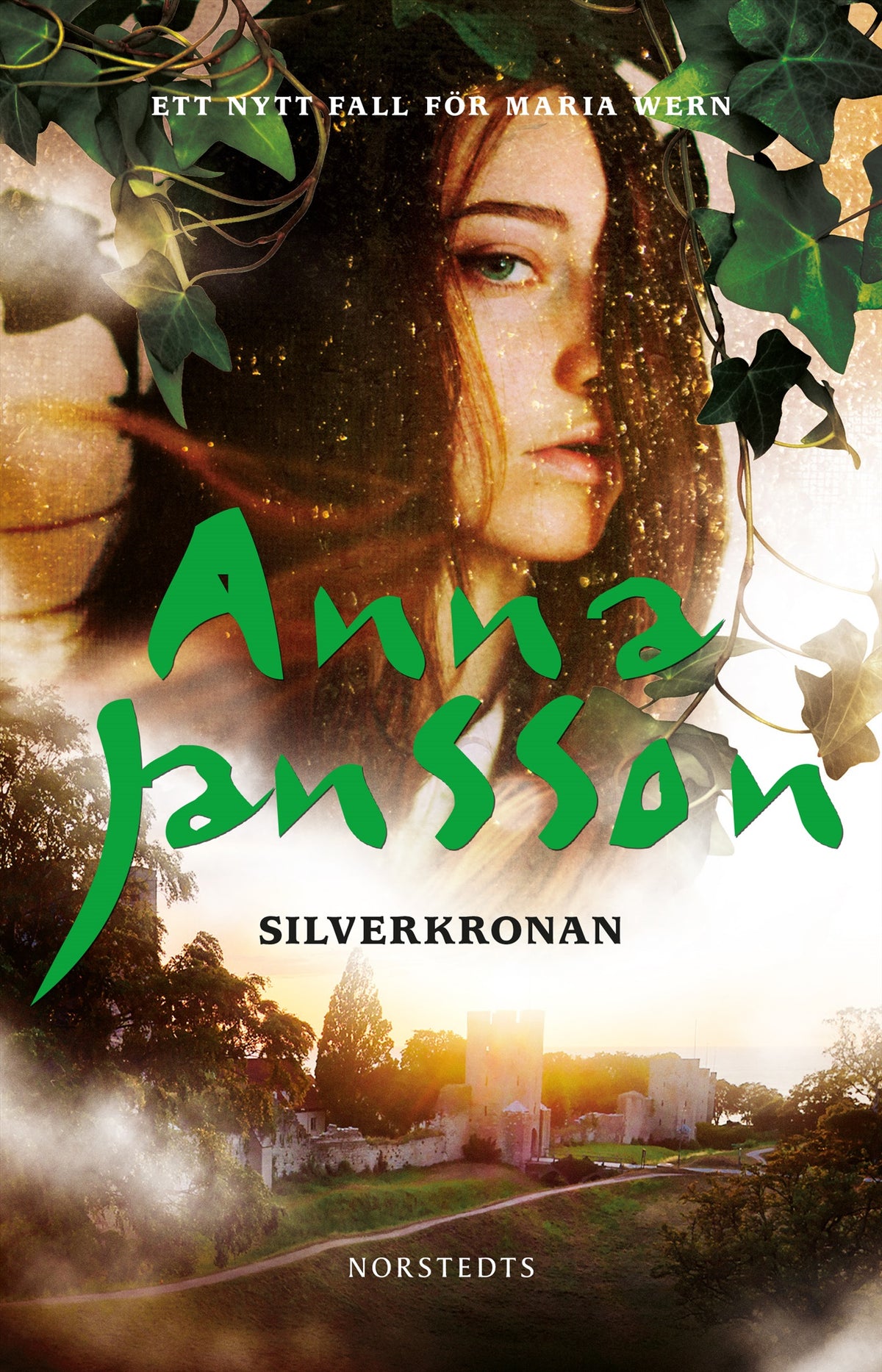 Silverkronan : spänningsroman – E-bok
