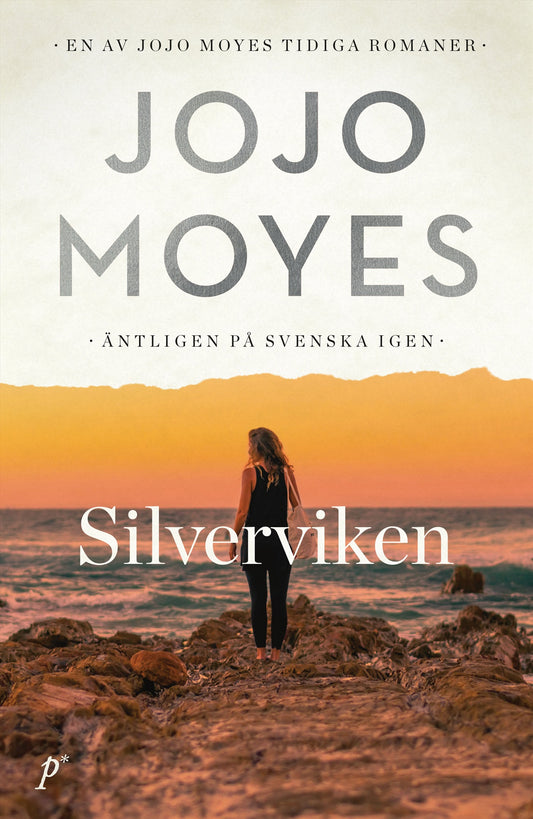 Silverviken – E-bok