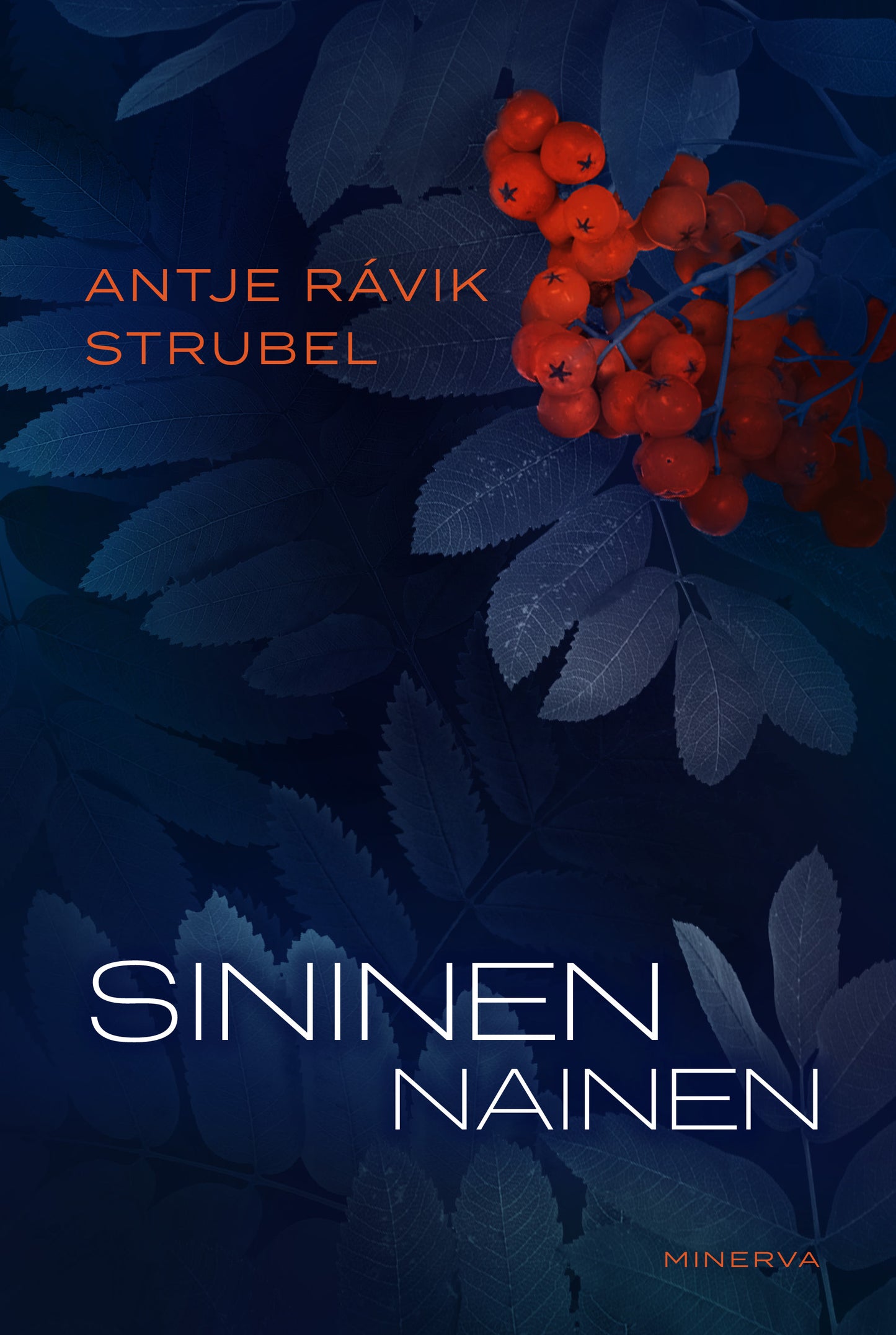 Sininen nainen – E-bok