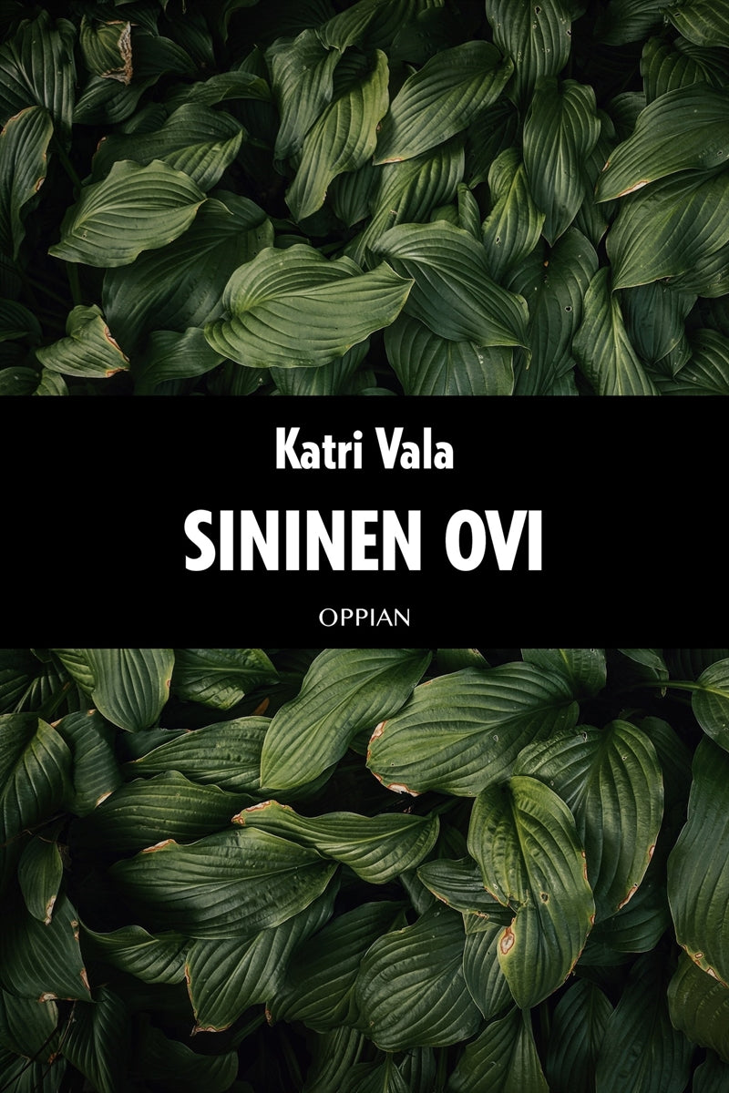 Sininen ovi – E-bok