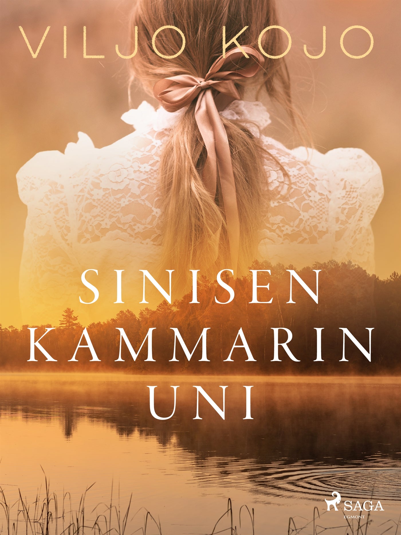 Sinisen kammarin uni – E-bok