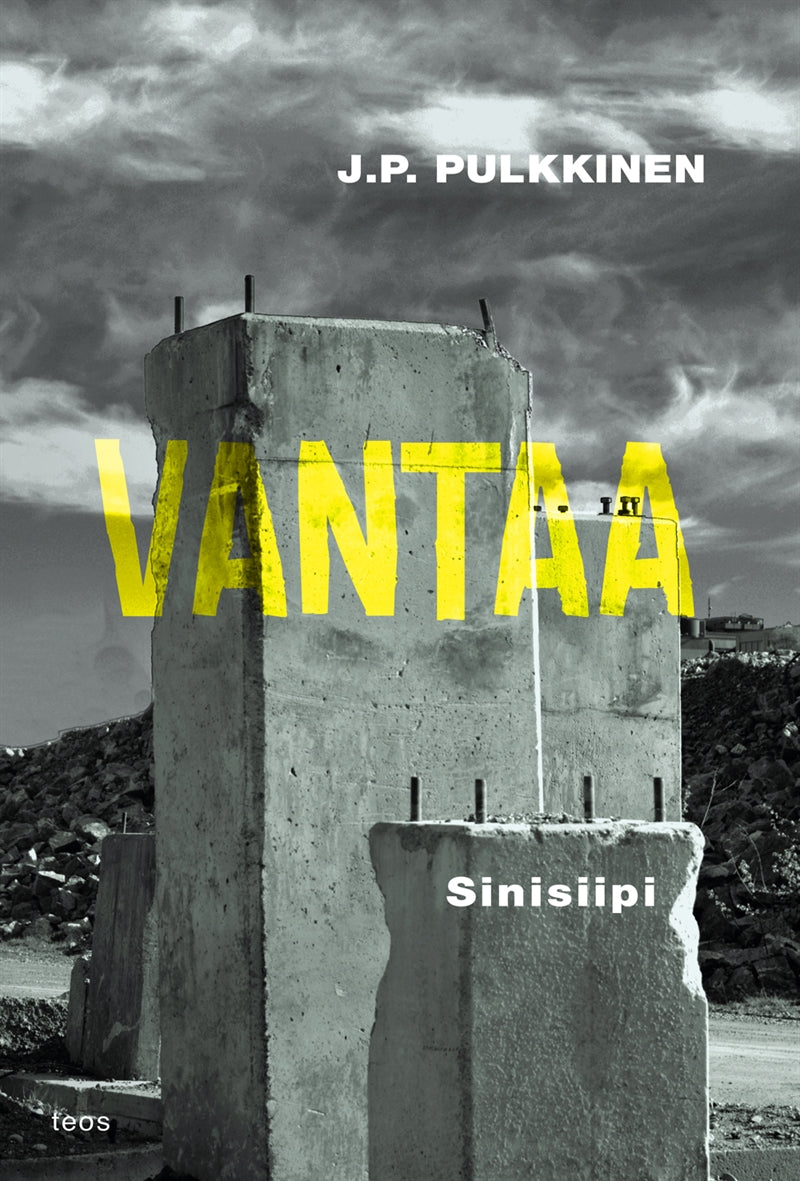 Sinisiipi – E-bok