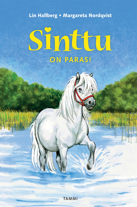 Sinttu on paras! – E-bok