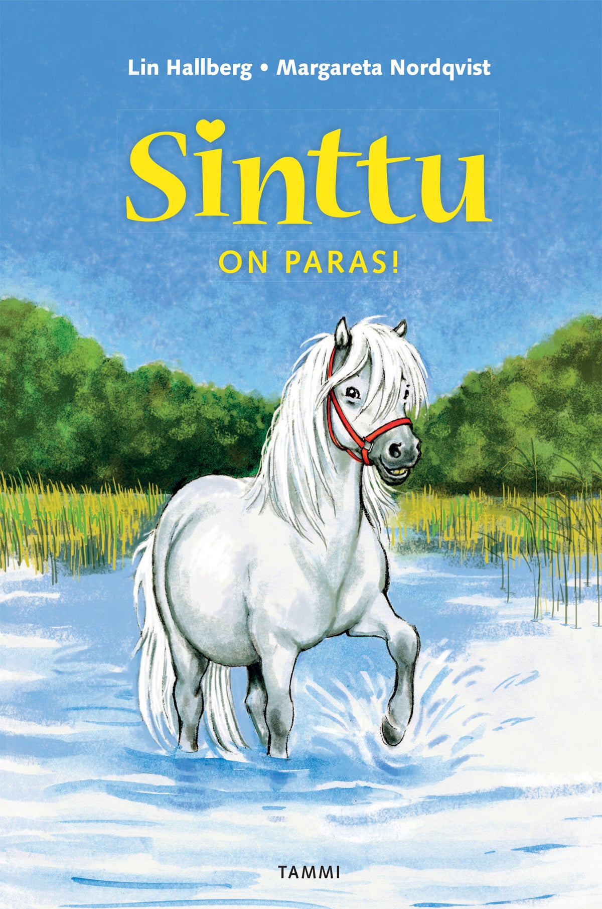 Sinttu on paras! – E-bok