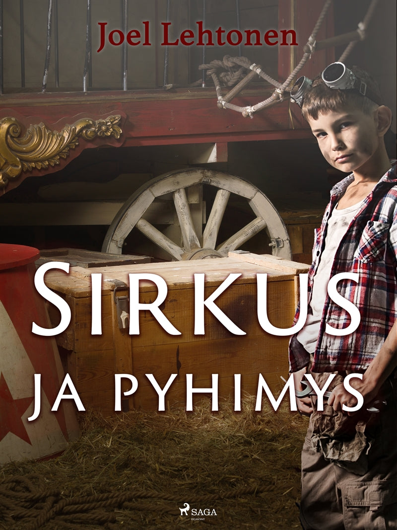 Sirkus ja pyhimys: romaani vanhaan tyyliin – E-bok