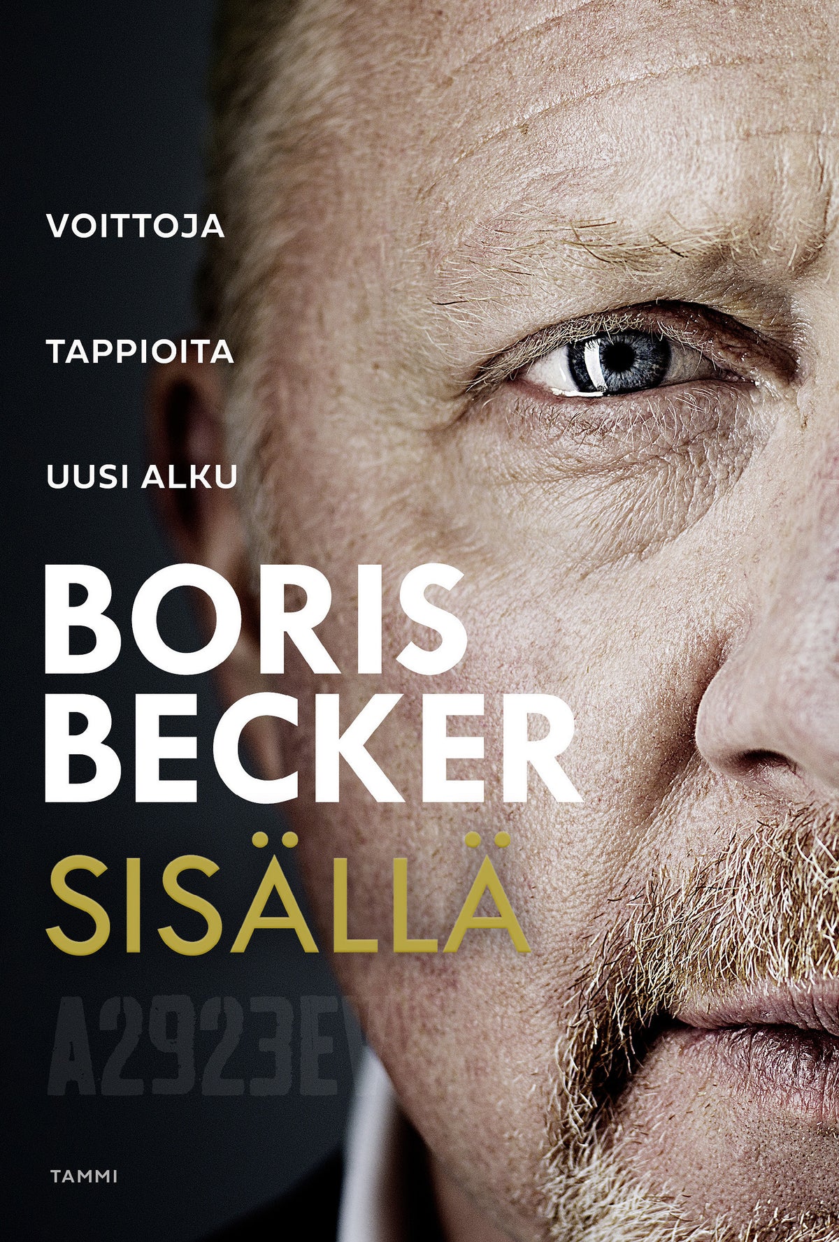 Sisällä – E-bok