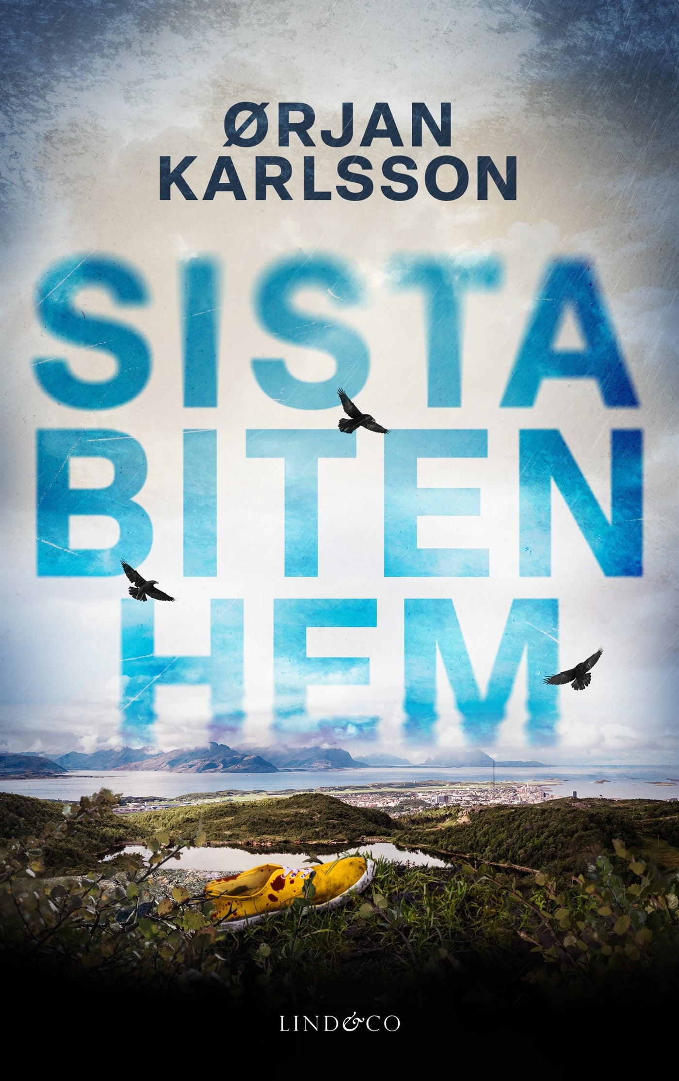 Sista biten hem – E-bok
