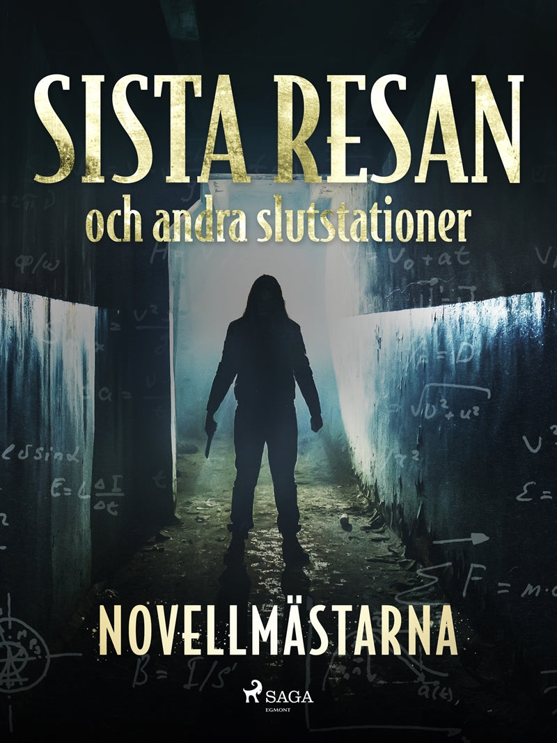 Sista resan och andra slutstationer – E-bok
