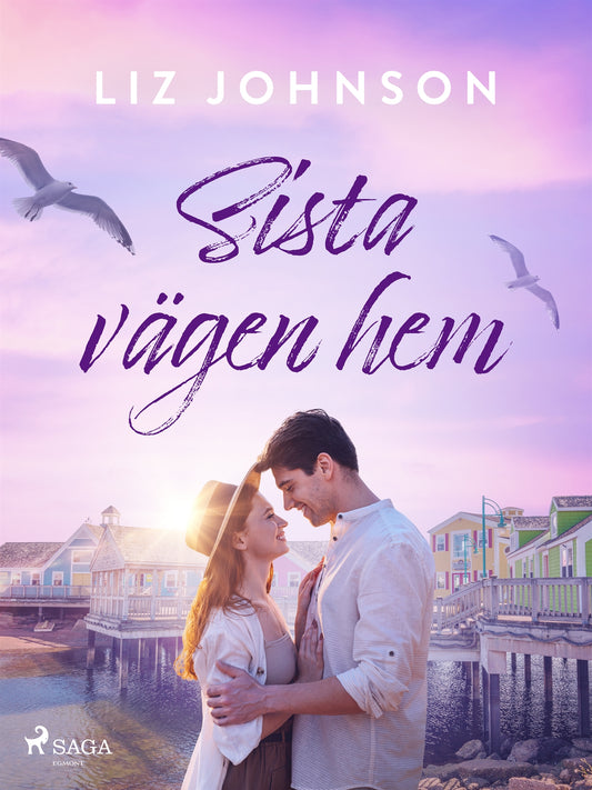 Sista vägen hem – E-bok