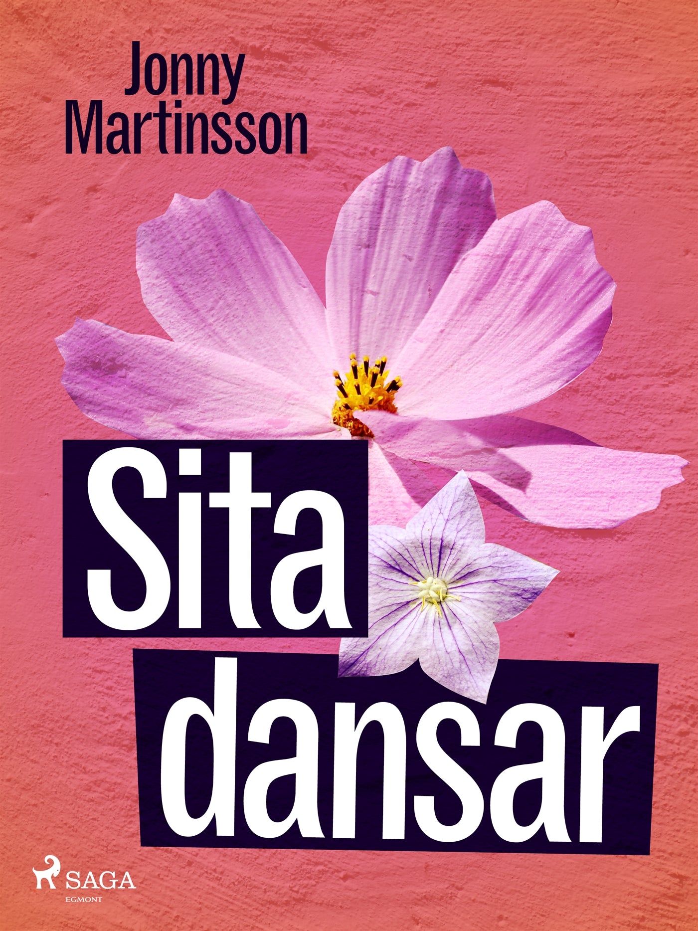 Sita dansar – E-bok
